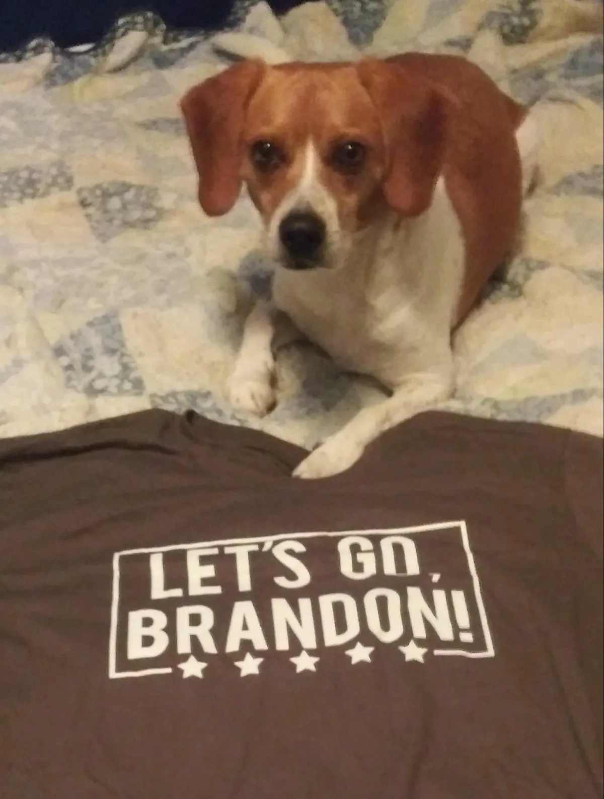 Barney with shirt "Lets Go Brandon" _ Vote Grassroots