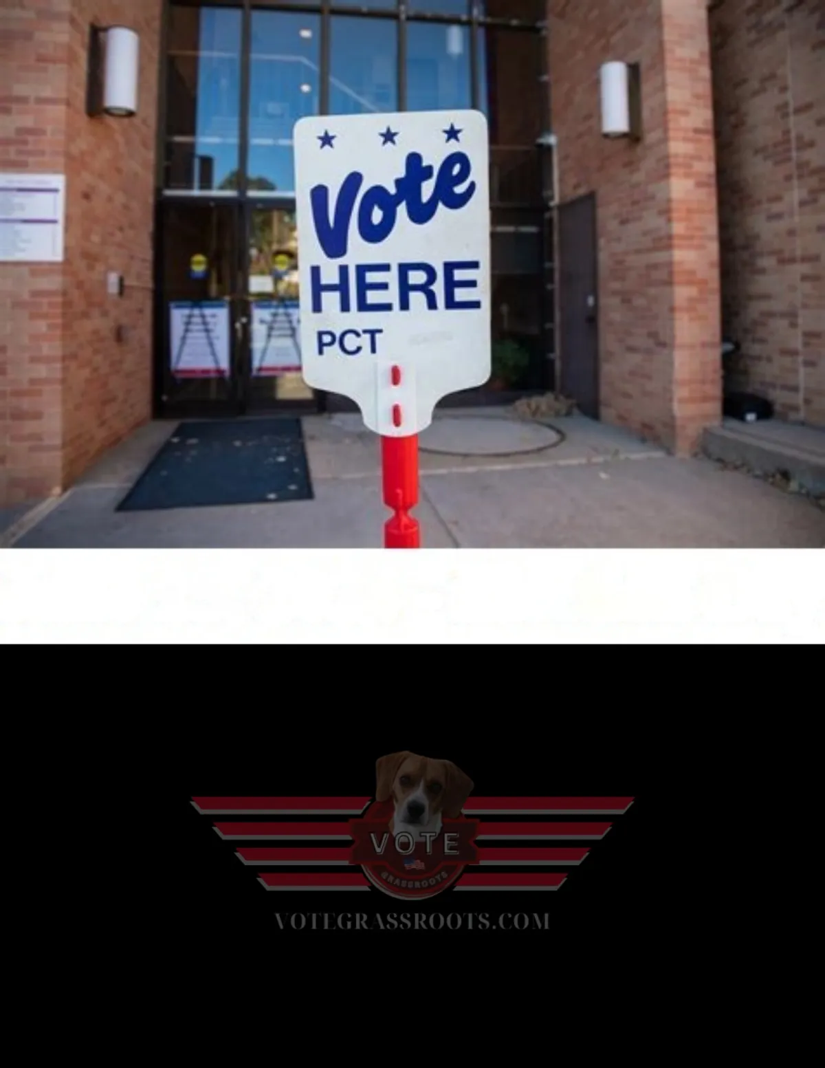 ELECTION DAY_VOTE GRASSROOTS