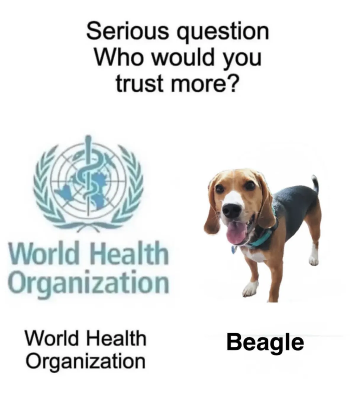 Reality Bites_ Vote Grasroots