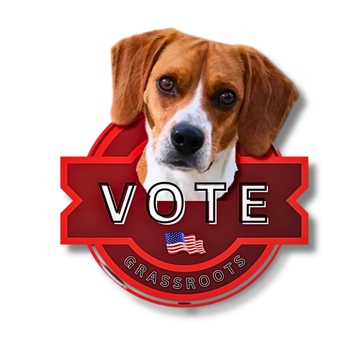 BARNEY LOGO VOTE GRASSROOTS