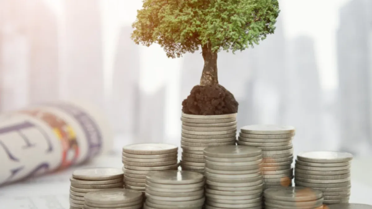 Revenue Does Not Equal Income: Why Understanding the Difference Matters