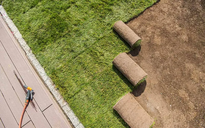 Ground Cover Installation in Scottsdale