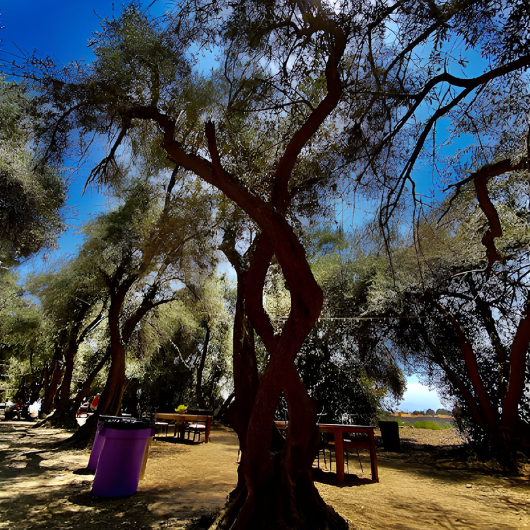 Cherry Valley, CA Featured Image