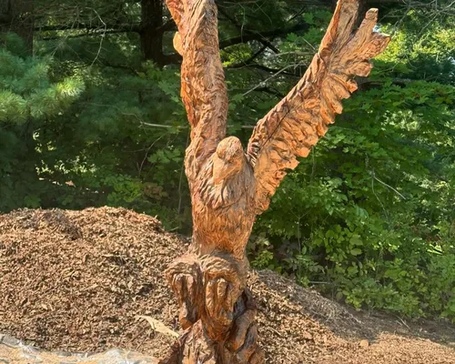 Chainsaw Carvings Montgomery