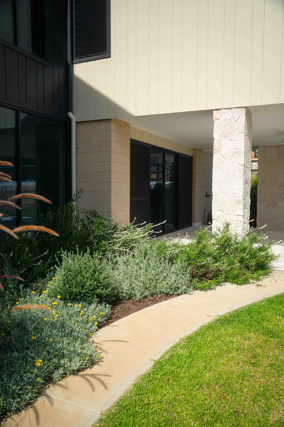 Layered native planting along a curved lawn edge beside a modern home