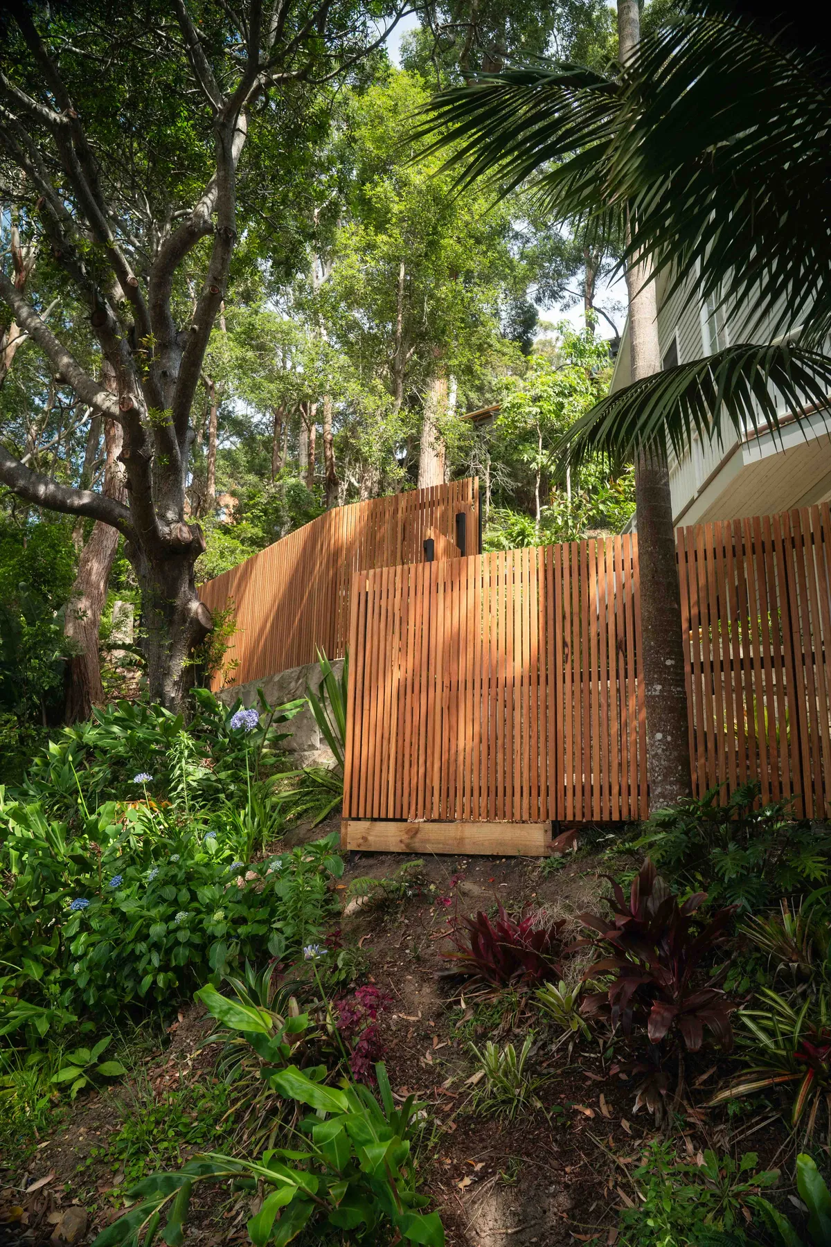 Hardwood batten screen fence running through bushland