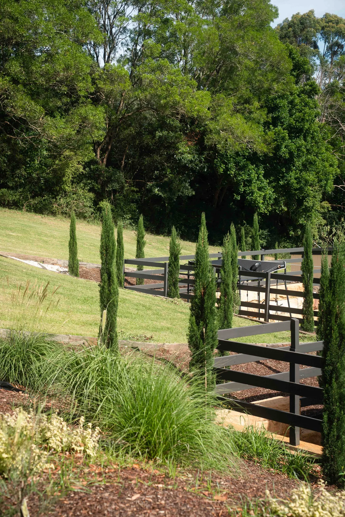 Italian cypress lining a post-and-rail fence above a lawn