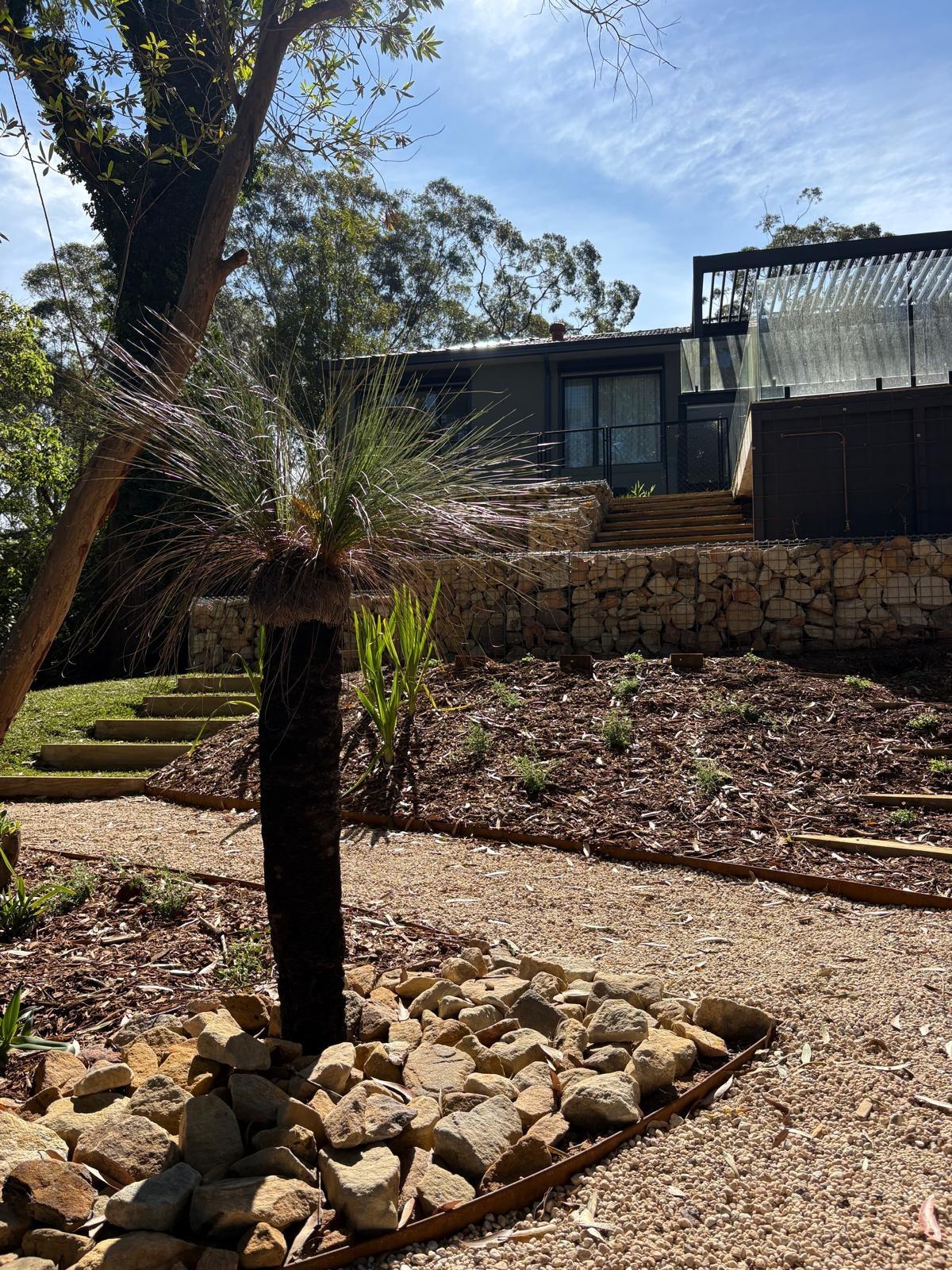 Grass tree in a rock bed below gabion terraces and timber stairs