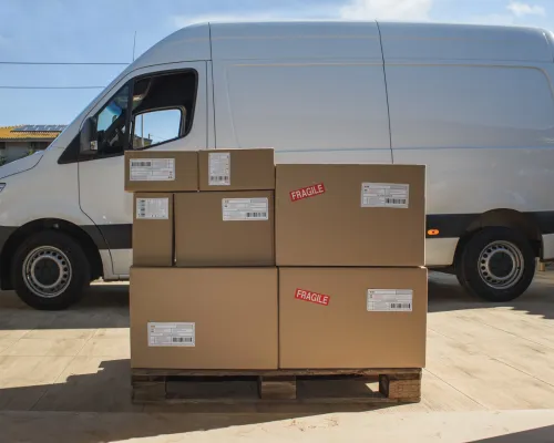 Removal Services