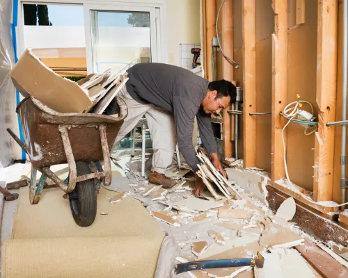 Removal Services