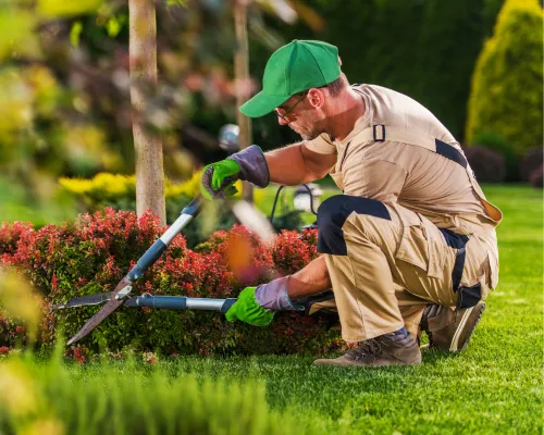 Collegeville Landscaping Services