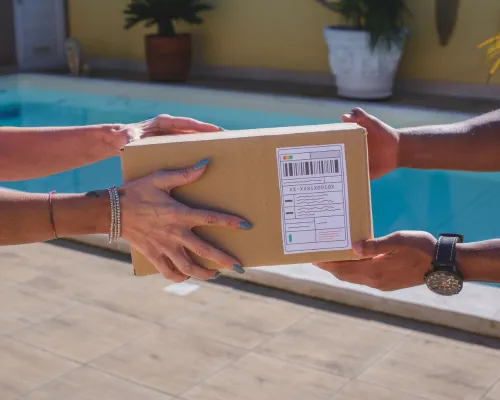 Removal Services
