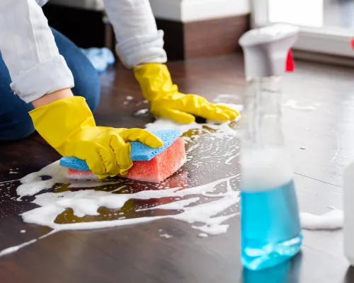  Removal Services