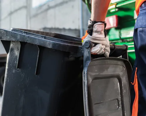  Removal Services
