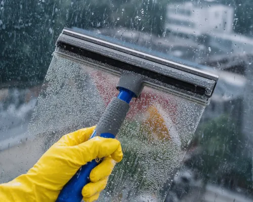  Removal Services