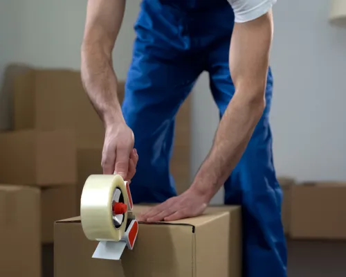  Removal Services