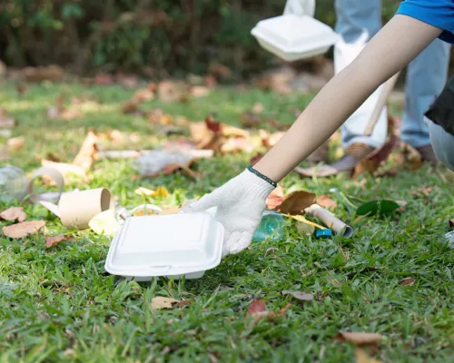  Removal Services