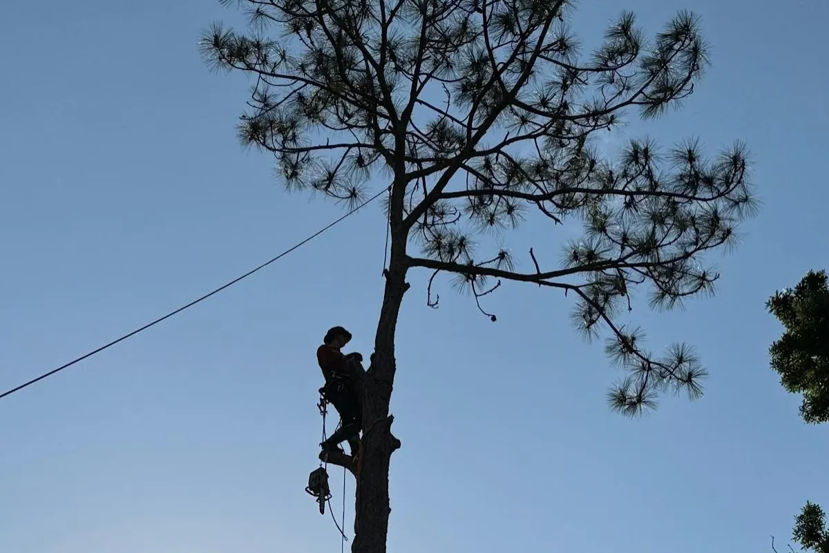 Firefighter-owned professional pressure washing a residential driveway