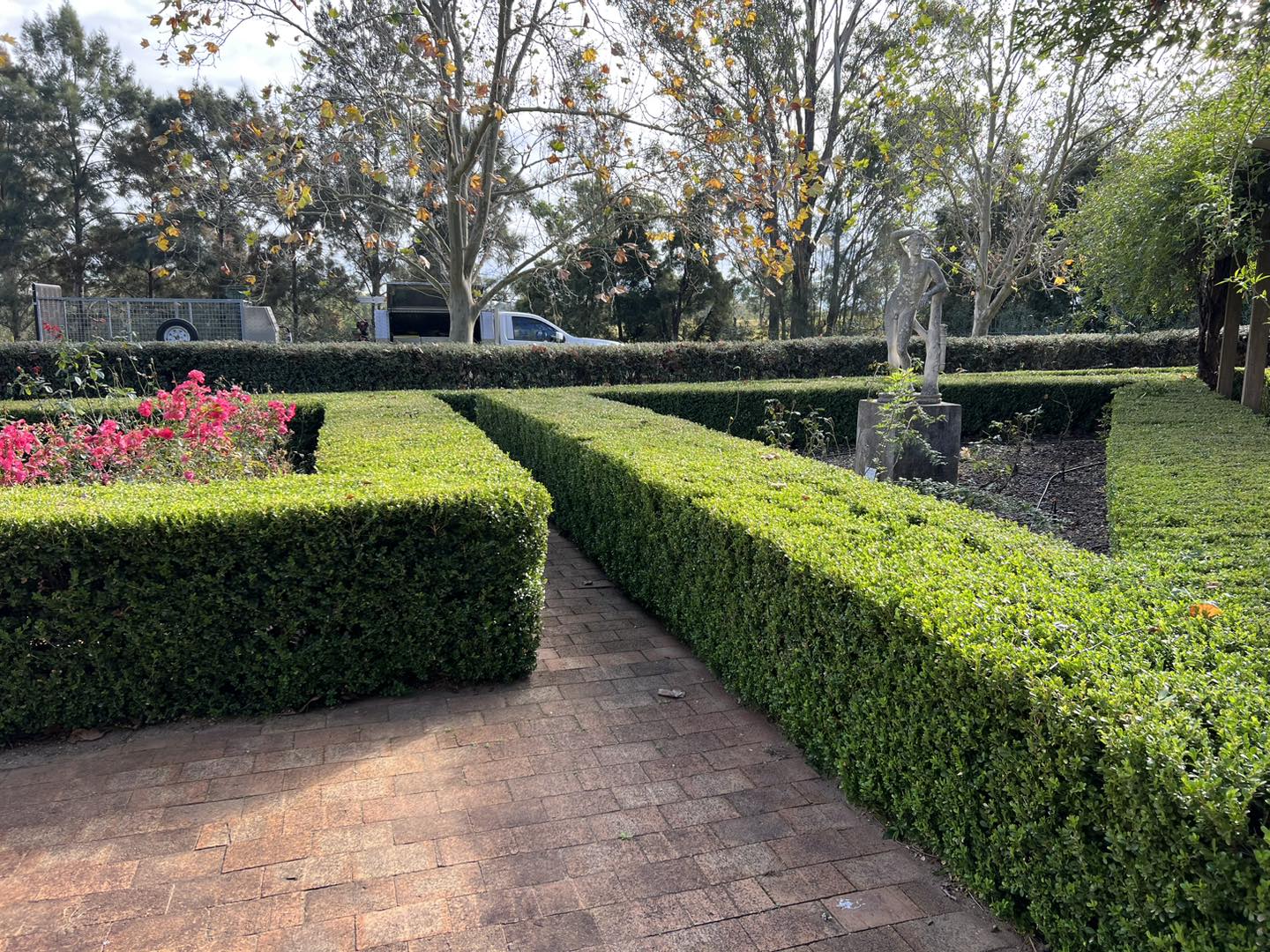 hedge trimming Lake Macquarie