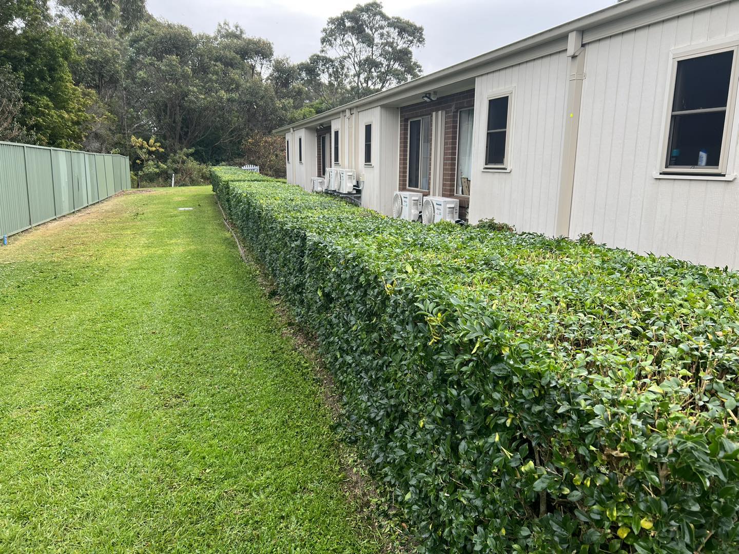 Hedge Cutting – Lake Macquarie – Even hedge shaping service