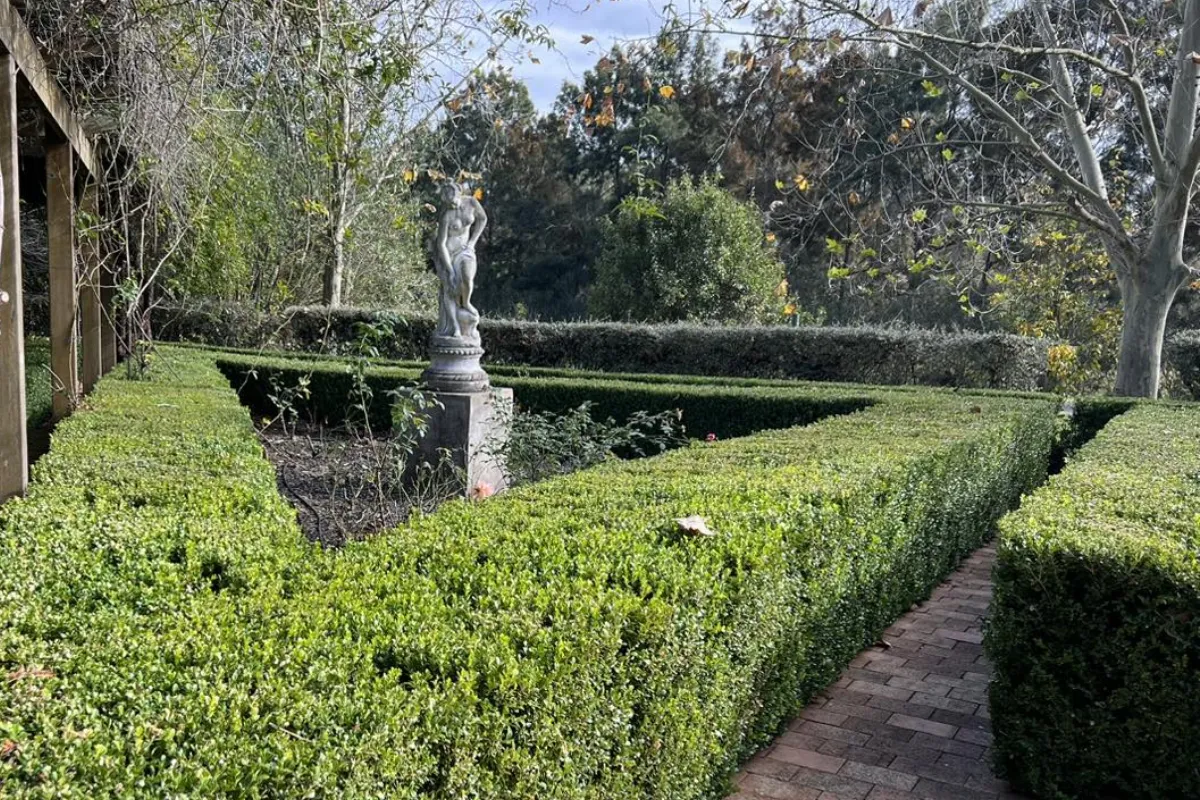 Lawn & Garden – Lake Macquarie – Maintained garden landscape