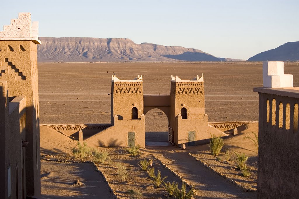 green leafed plant in closeup shot