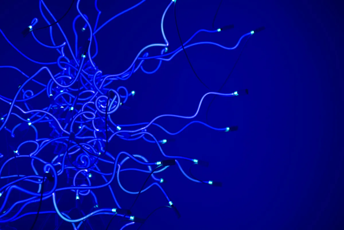 AI Is Training on Your Book Right Now