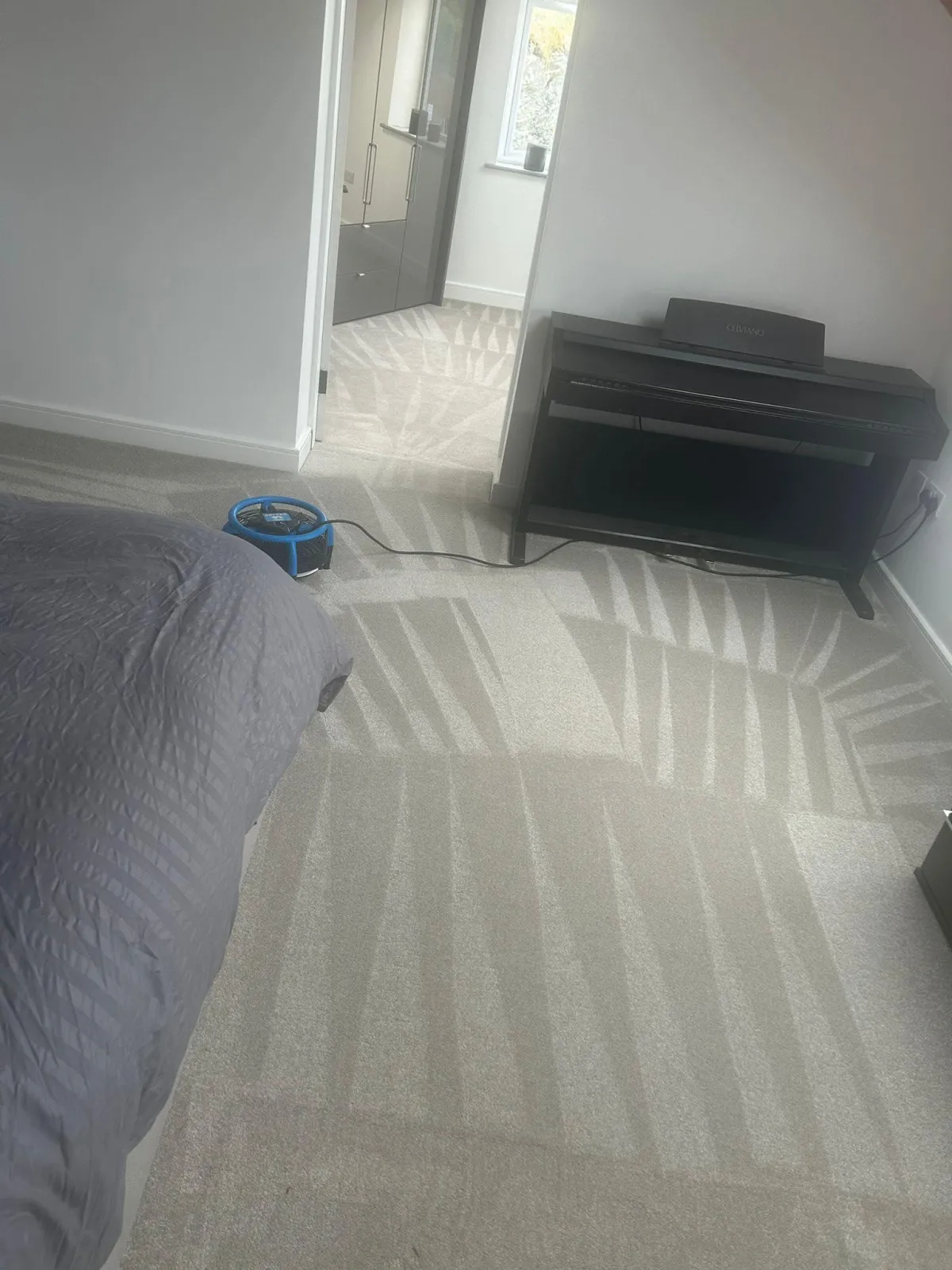 Carpet after Johno has cleaned it with the step process