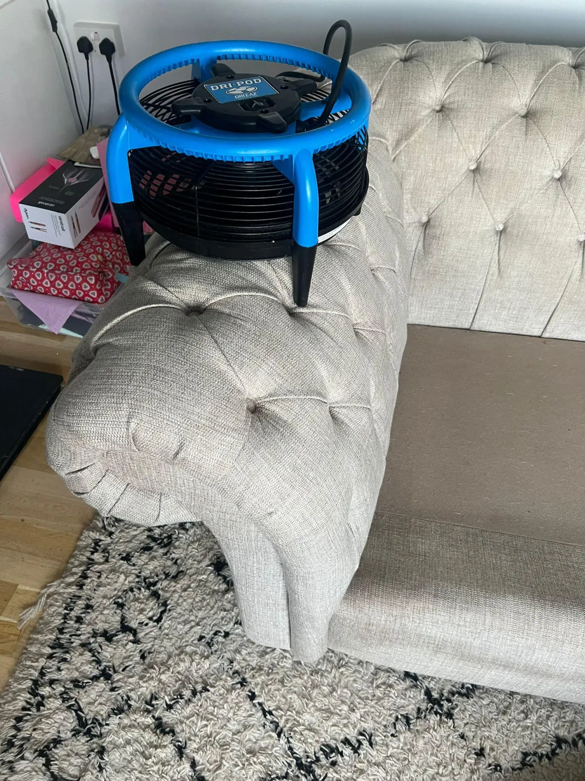 Lounge carpet after being professionally cleaned by Dragon Carpet Cleaning