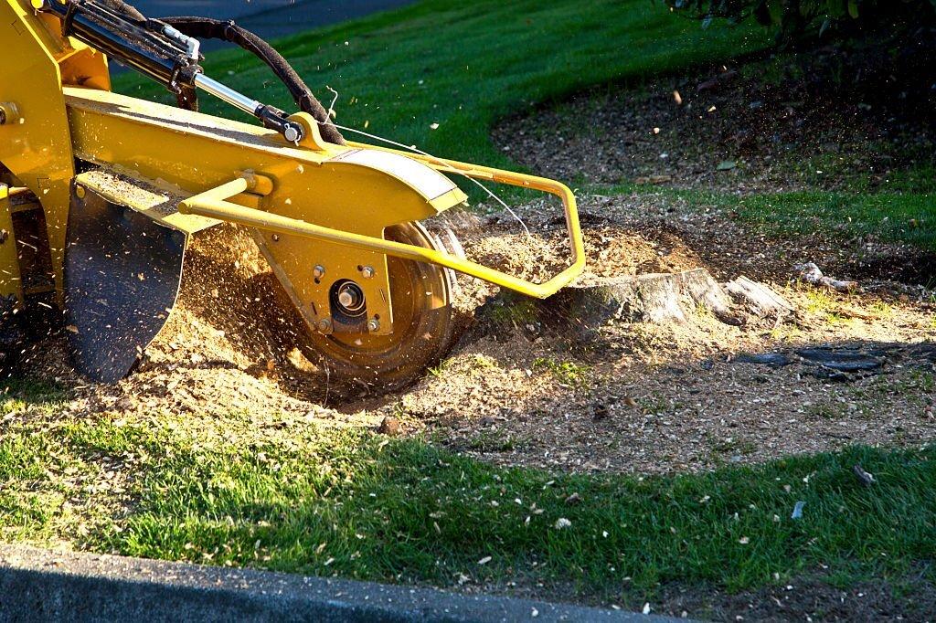 Grinding Tree Stump with Grinder