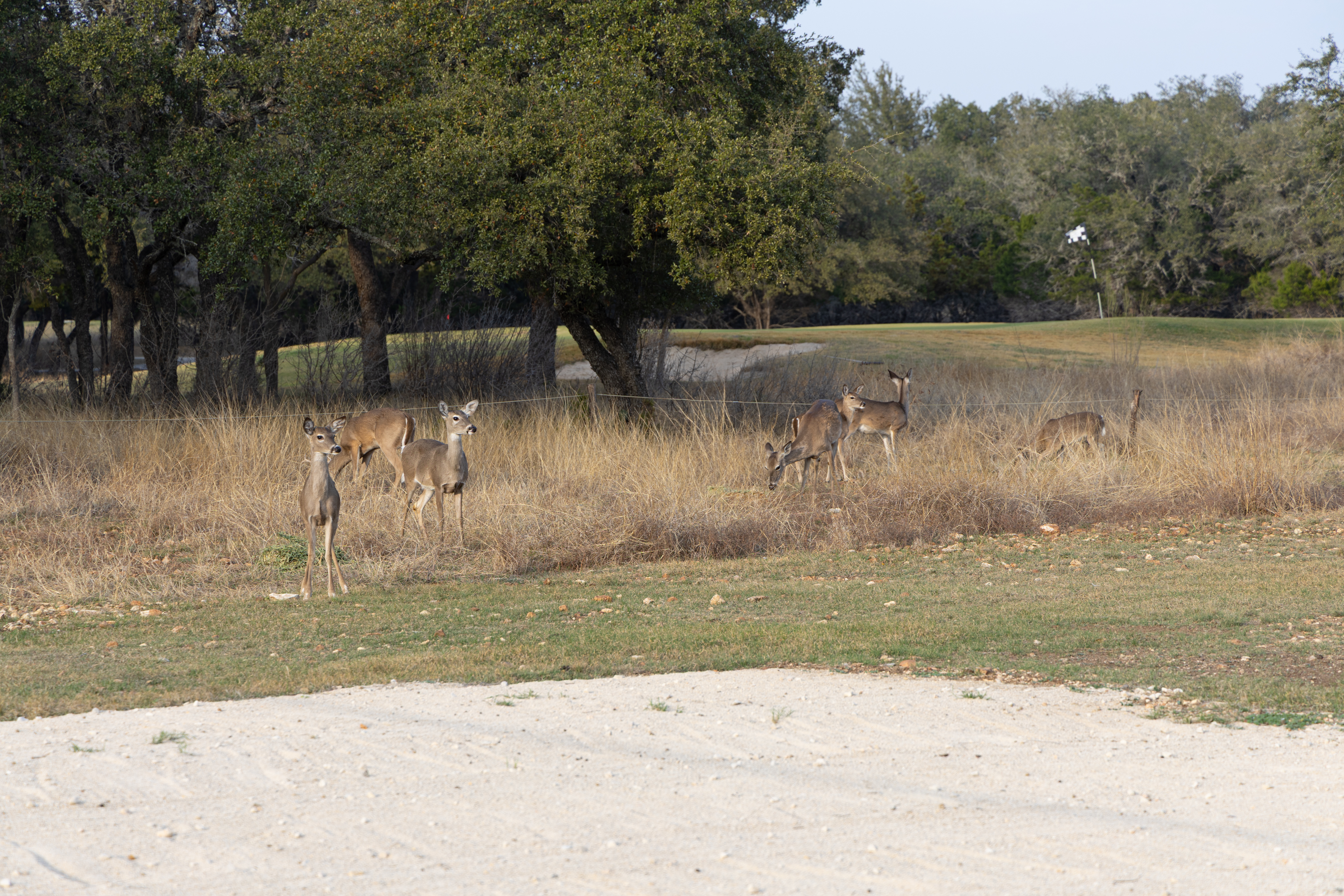 Concan Golf & Frio Valley Ranch Vacation Guide
