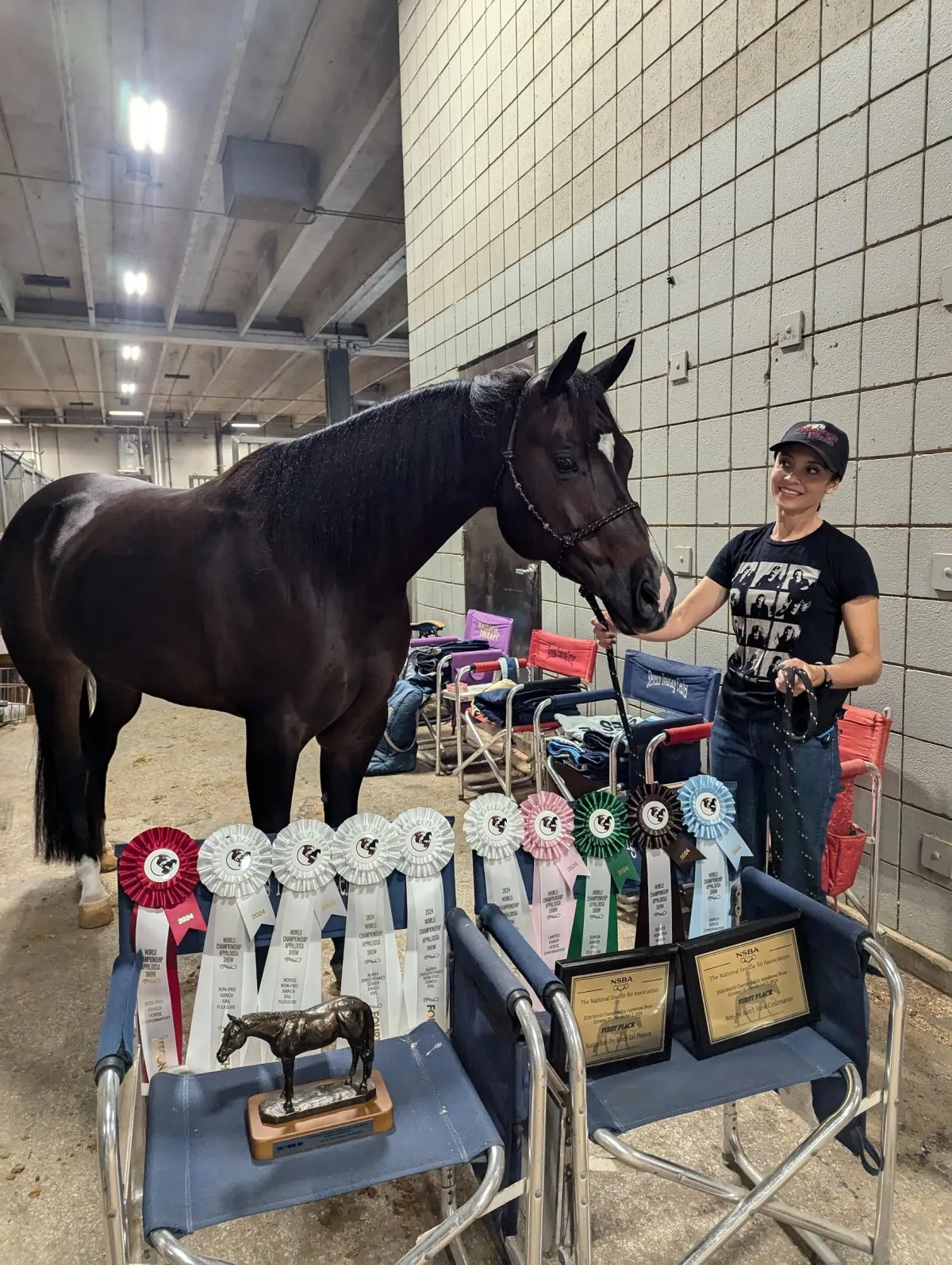 2024 ApHC world show - Reserve Champion in Non-Pro Ranch Horse Conformation!