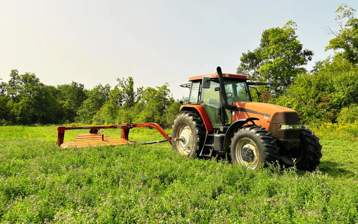 Mowing