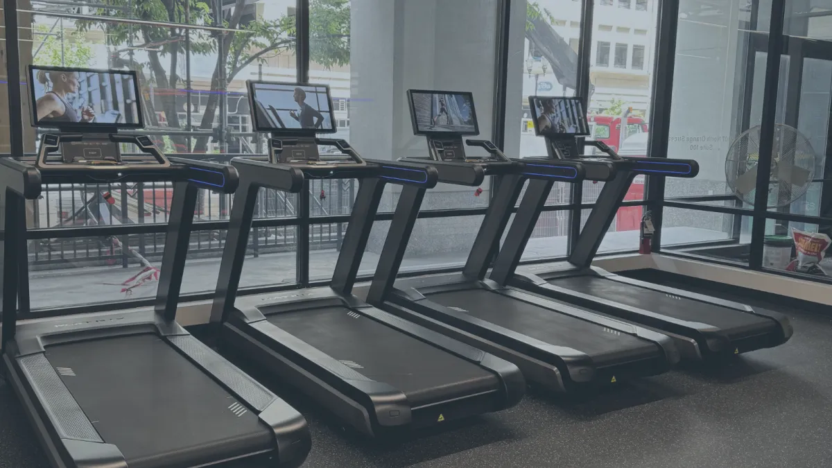 Cardio floor with treadmills, ellipticals, and bikes