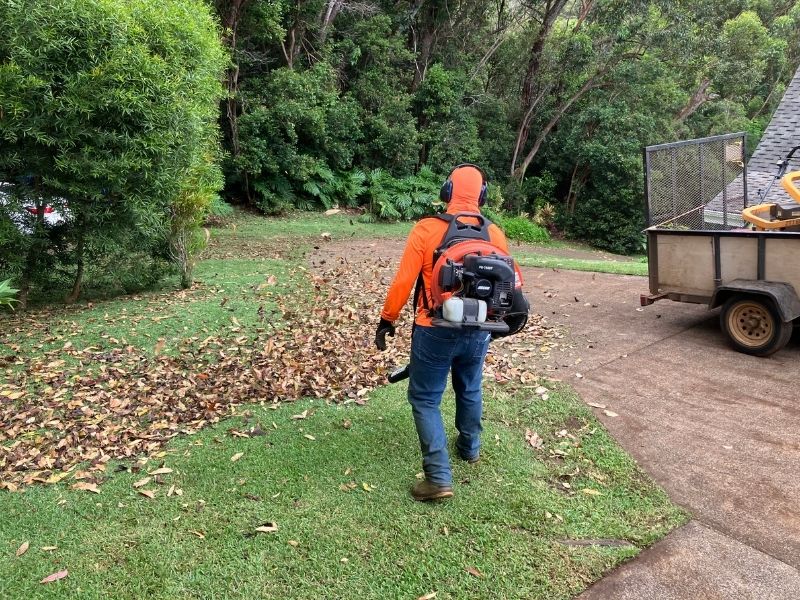 Professional leaf blowing by Lawnzilla Landscaping LLC in Poipu, HI