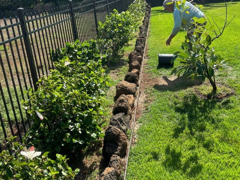 Professional hedging and pruning services in Lihue, HI by Lawnzilla Landscaping LLC