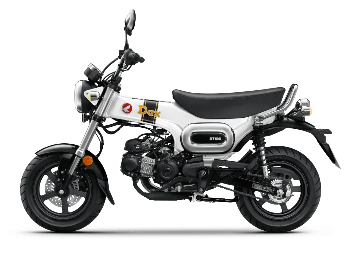 STREET BRAWLER