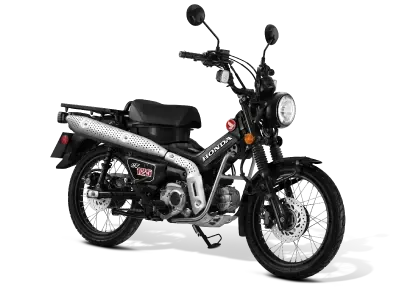 STREET BRAWLER