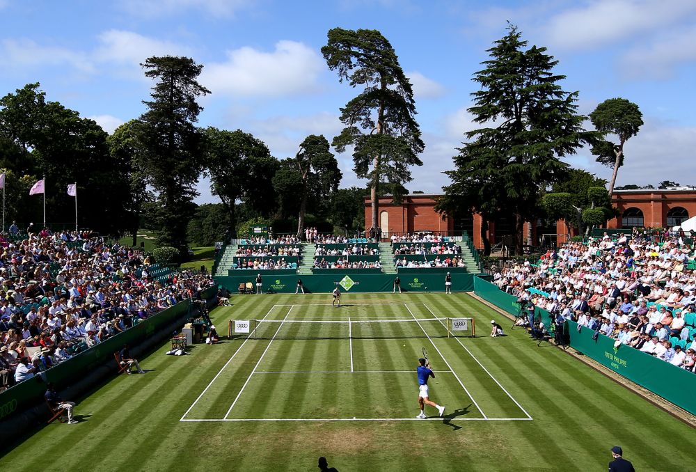 aerial view of green grass field