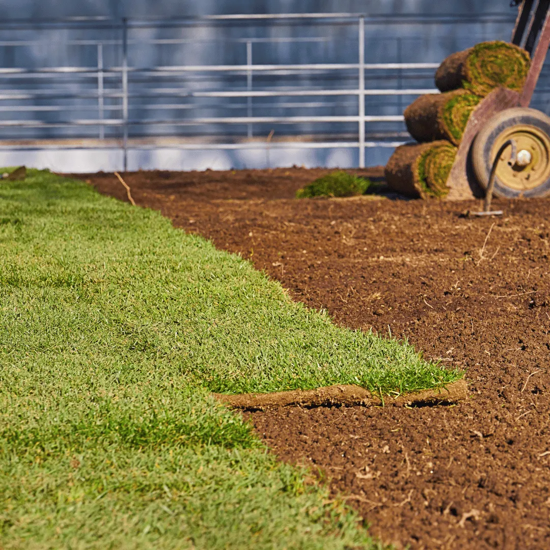 landscaping Apopka FL, lawn care Apopka FL, sod installation Apopka FL, irrigation services Apopka FL, pressure washing Apopka FL, lawn mowing Apopka FL, outdoor services Apopka FL