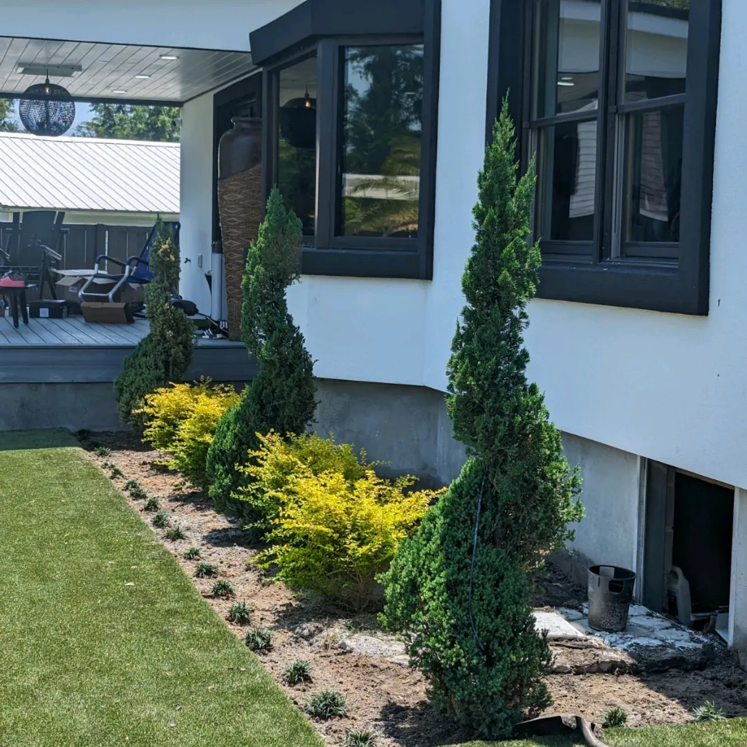 landscaping Apopka FL, lawn care Apopka FL, sod installation Apopka FL, irrigation services Apopka FL, pressure washing Apopka FL, lawn mowing Apopka FL, outdoor services Apopka FL