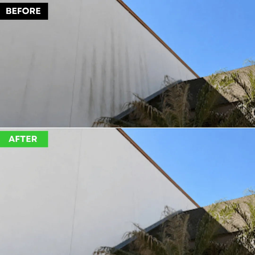 AW Precision Outdoors Apopka FL, outdoor services Apopka FL, landscaping company Apopka FL, lawn care company Apopka FL, sod installation Apopka FL, irrigation services Apopka FL, pressure washing Apopka FL