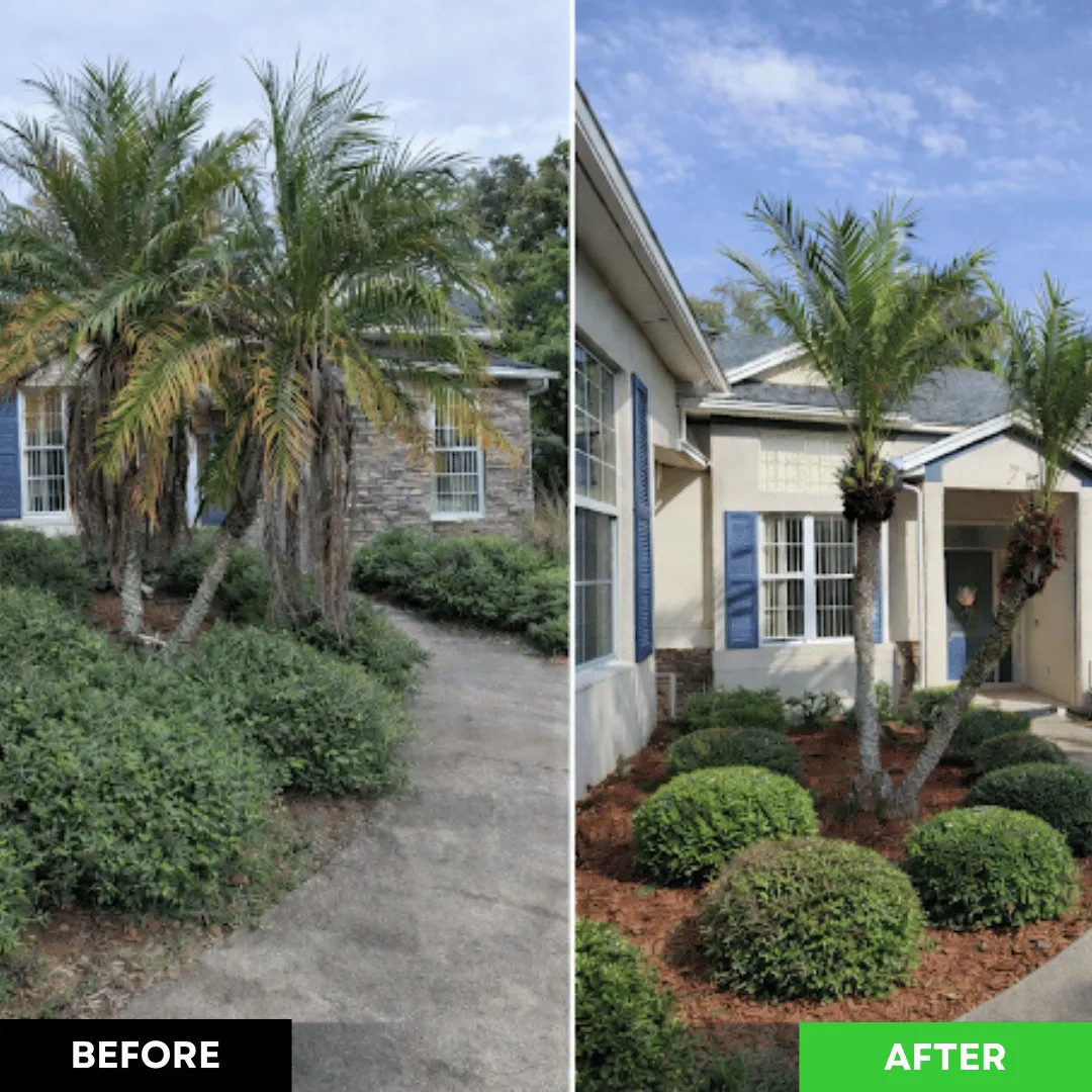 AW Precision Outdoors Apopka FL, outdoor services Apopka FL, landscaping company Apopka FL, lawn care company Apopka FL, sod installation Apopka FL, irrigation services Apopka FL, pressure washing Apopka FL
