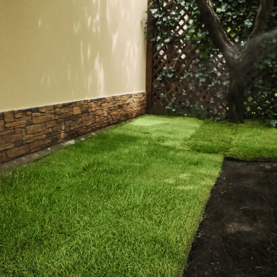 sod installation Apopka FL, lawn replacement Apopka FL, new sod Apopka FL, sod installer Apopka FL, grass installation Apopka FL, bare spot repair Apopka FL, fresh lawn installation Apopka FL