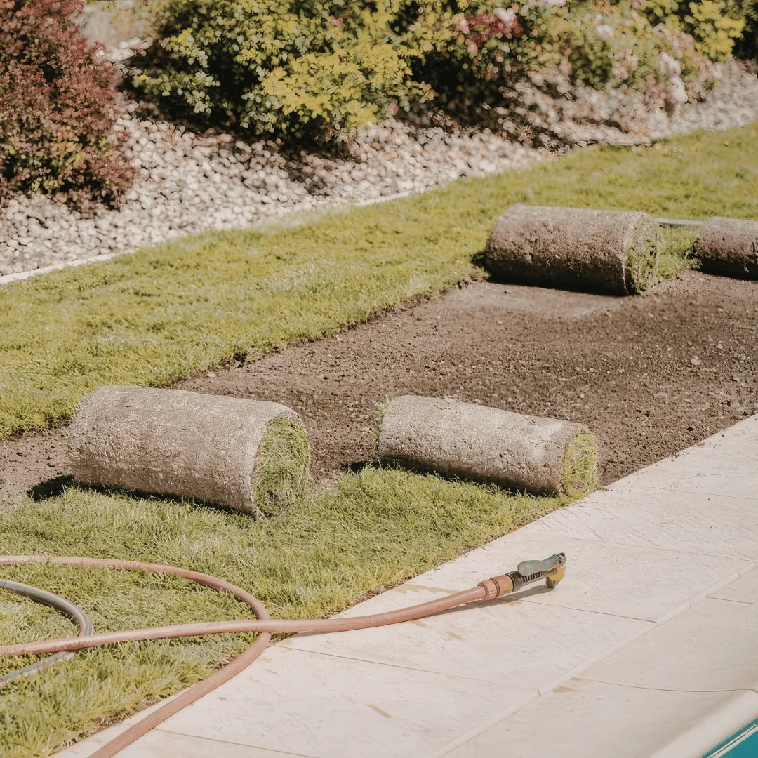 sod installation Apopka FL, lawn replacement Apopka FL, new sod Apopka FL, sod installer Apopka FL, grass installation Apopka FL, bare spot repair Apopka FL, fresh lawn installation Apopka FL