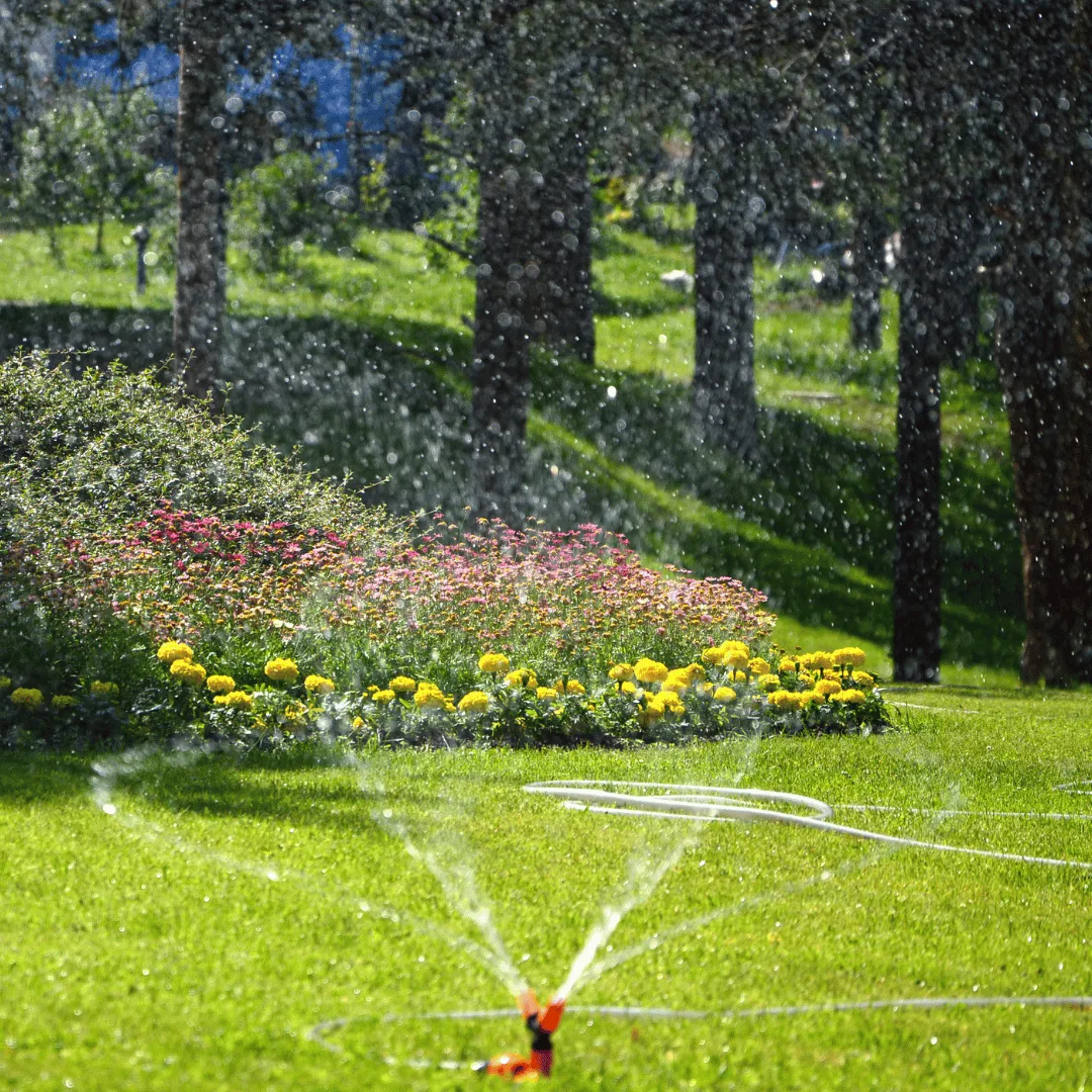 irrigation services Apopka FL, sprinkler repair Apopka FL, sprinkler head replacement Apopka FL, irrigation repair Apopka FL, lawn irrigation Apopka FL, sprinkler service Apopka FL, irrigation company Apopka FL