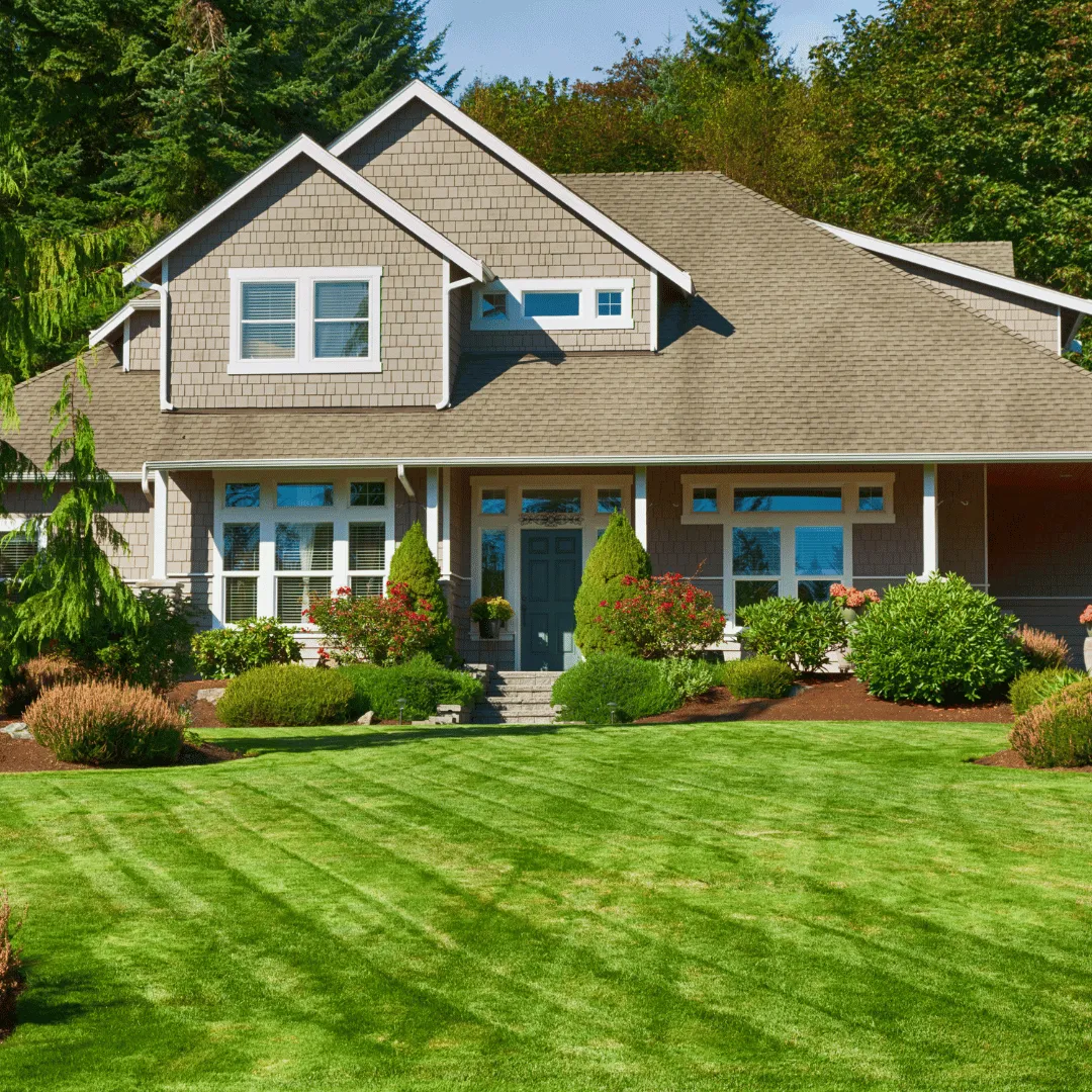 outdoor services Eustis FL, lawn care Eustis FL, landscaping Eustis FL, sod installation Eustis FL, irrigation services Eustis FL, pressure washing Eustis FL, lawn maintenance Eustis FL