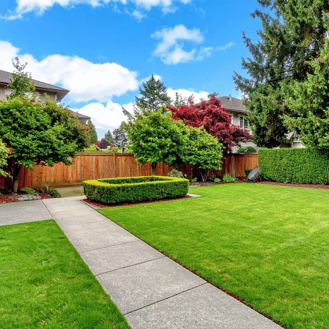 outdoor services Eustis FL, lawn care Eustis FL, landscaping Eustis FL, sod installation Eustis FL, irrigation services Eustis FL, pressure washing Eustis FL, lawn maintenance Eustis FL