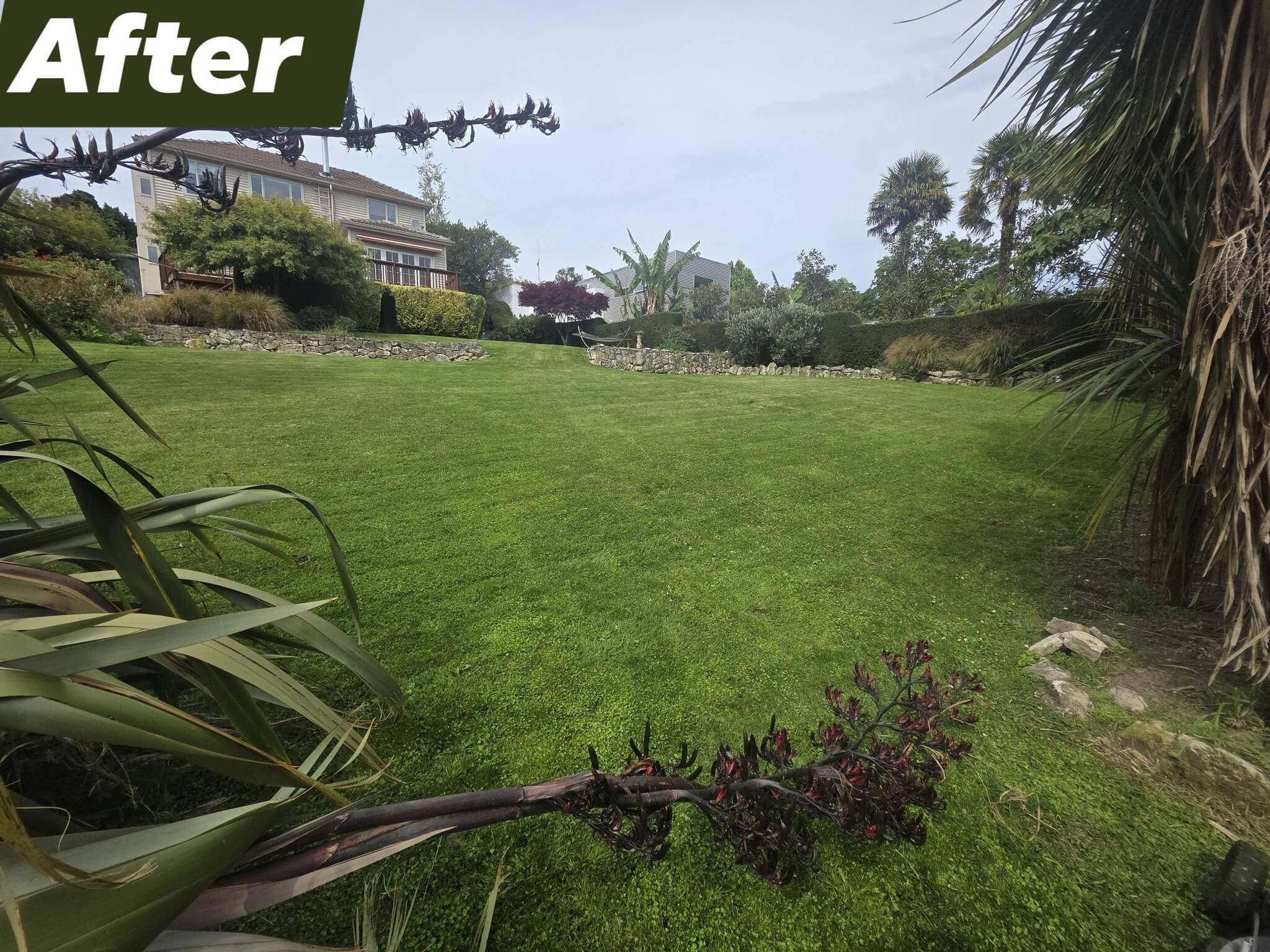 Freshly mowed lawn after professional lawn mowing in Timaru