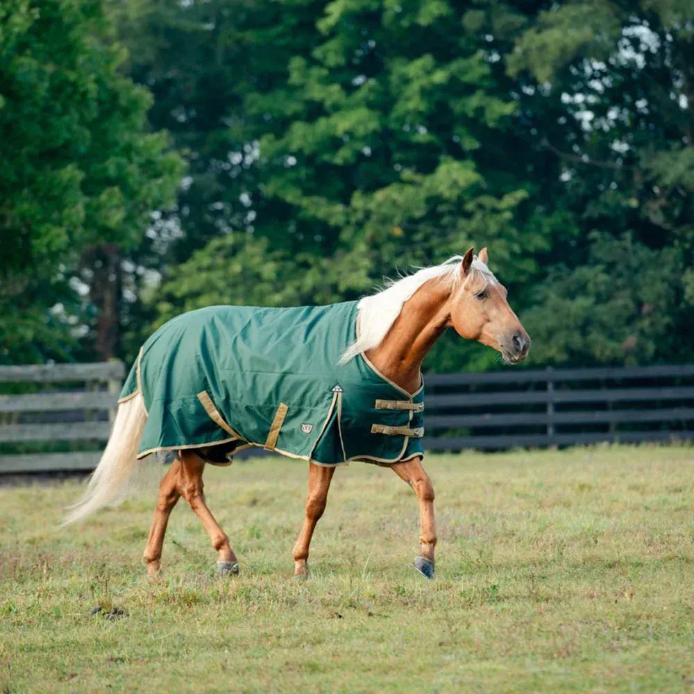 Equine Horse Blanket